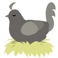 A grey and ash chicken