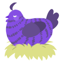 blurple 1m zw, a blurple and overcast chicken with a bar pattern