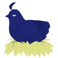 A navy chicken with a head pattern