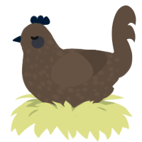 A bark chicken with a speckle pattern