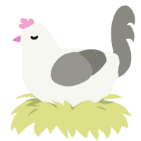 Pigeon, a white and ash chicken
