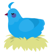 (unnamed), a sky chicken with a head pattern