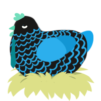C7ber, a sable and sky chicken with a lace pattern