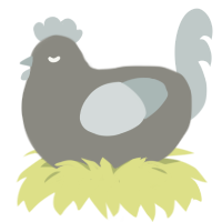 A ash and silver chicken
