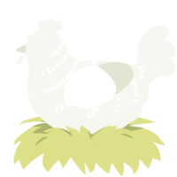 A white chicken with a half-bar pattern