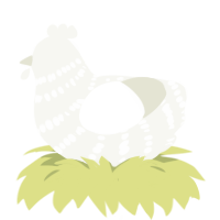 (unnamed), a white chicken with a bar pattern