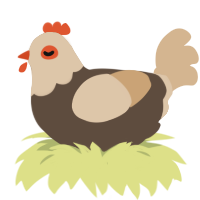 Turkey, a bark and beige chicken with a head pattern