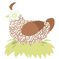 A white and brown chicken with a double-lace pattern