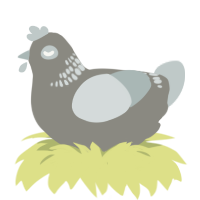 A ash and silver chicken with a neck-band pattern