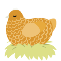 A orange and honey chicken with a lace pattern