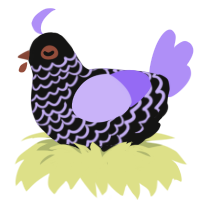 A black and lilac chicken with a lace pattern