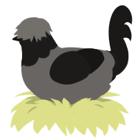 A grey and sable chicken with a head pattern