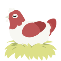 Kohaku, a white and red chicken with a head pattern