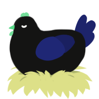 Eclipse, a black and navy chicken