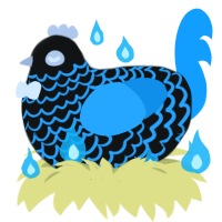 A black and sky chicken with a lace pattern