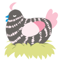 A grey and rose chicken with a bar pattern