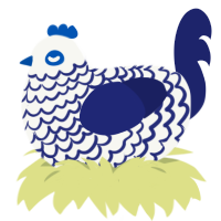 Joker Lace, a white and navy chicken with a lace pattern