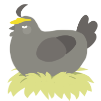 A ash and grey chicken