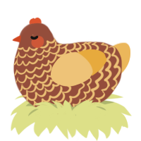 Chuck, a russet and honey chicken with a lace pattern