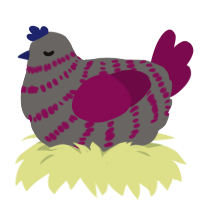 (unnamed), a grey and wine chicken with a bar pattern