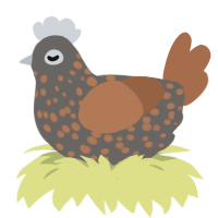 A grey and brown chicken with a speckle pattern