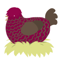 A maroon and bark chicken with a lace pattern