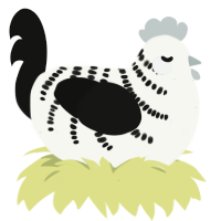 A white and black chicken with a half-bar pattern
