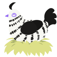 (unnamed), a white and sable chicken with a bar pattern