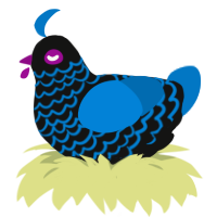 (unnamed), a black and sapphire chicken with a lace pattern