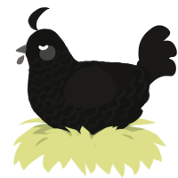 A black and sable chicken with a lace pattern