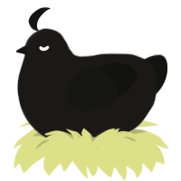 Chitterchip, a sable and black chicken