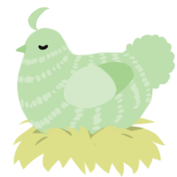 Gluppy, a gluppy chicken with a bar pattern