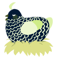 A tumblr and apple chicken with a lace pattern
