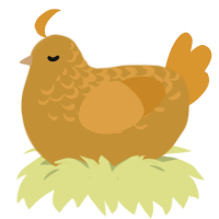 Failed Kirk 17, a gold and orange chicken with a half-lace pattern