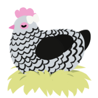 A mist and black chicken with a lace pattern