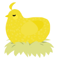 Yellow, a yellow chicken with a speckle pattern