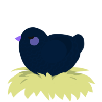 Blue, a tumblr chicken with a lace pattern