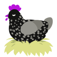 End Portal Texture, a black and ash chicken with a speckle pattern