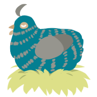 Sea Foam, a sea and ash chicken with a bar pattern
