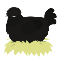 A sable and black chicken with a head pattern