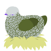 overgrowth, a silver and olive chicken with a double-lace pattern