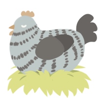 A silver and grey chicken with a bar pattern