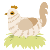 A cream and beige chicken with a bar pattern