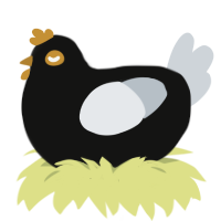 frank, a black and mist chicken