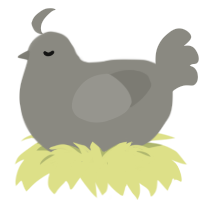 A ash chicken