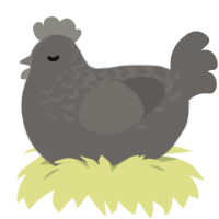 A grey chicken with a half-lace pattern