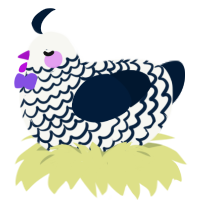 Black Lace, a white and tumblr chicken with a lace pattern
