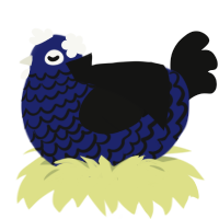 Andante, a navy and black chicken with a lace pattern