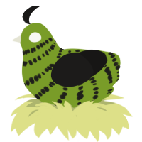 Naib Subedar, a chartreuse and sable chicken with a bar pattern