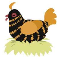(unnamed), a black and orange chicken with a bar pattern